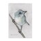 Stupell Industries Wildlife Perched Bird Painting Wall Plaque Design By Stephanie Workman Marrott